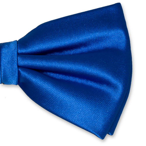 Königsblaue Herrenfliege (2)