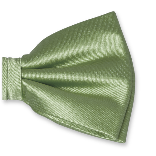 Salbeigrüne Herrenfliege (2)