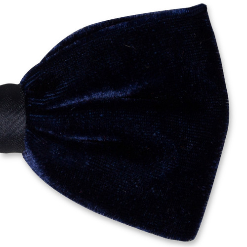 Samtfliege dunkelblau (2)