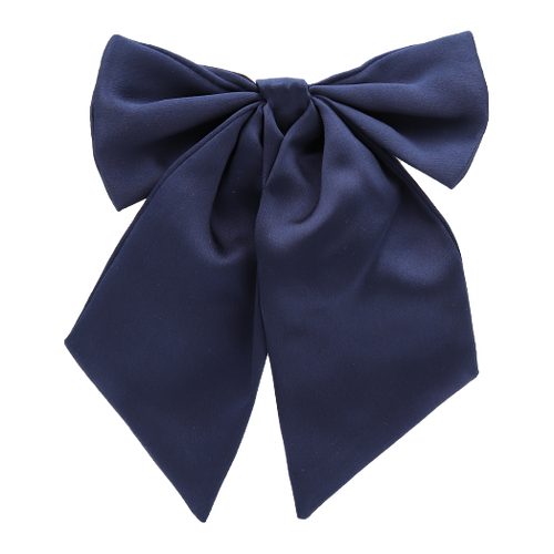 Dunkelblaue Damenfliege (1)