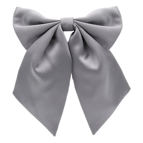 Graue Damenfliege (1)