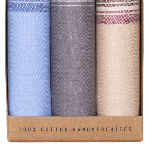 Herrentaschentücher - Beige Blau (2)