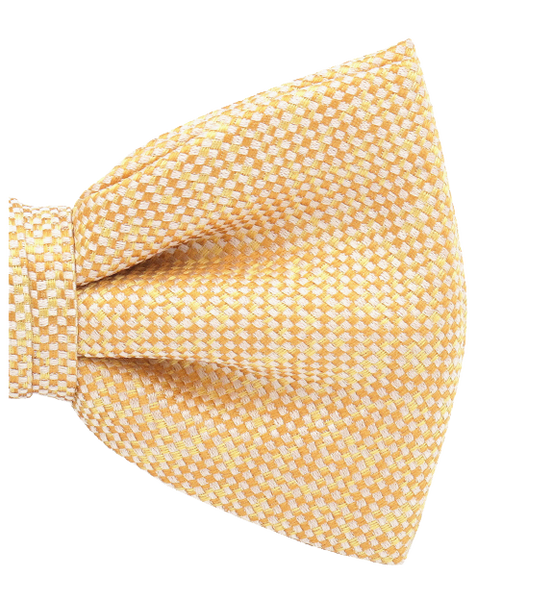 Gelbe Fliege Two-tone (2)