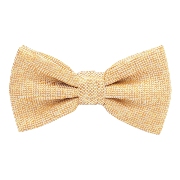 Gelbe Fliege Two-tone (1)