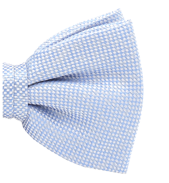 Hellblaue Fliege Two-tone (2)