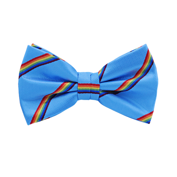 Regenbogen-Fliege (1)