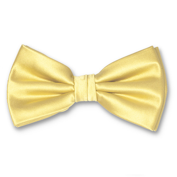 Pastellgelbe Herrenfliege (1)