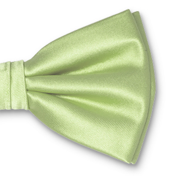 Mintgrüne Herrenfliege (2)