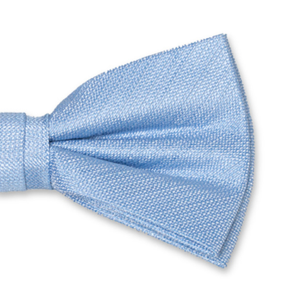 Hellblaue Herrenfliege (2)