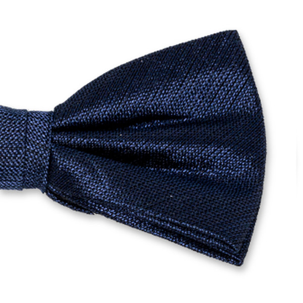 Dunkelblaue Herrenfliege (2)