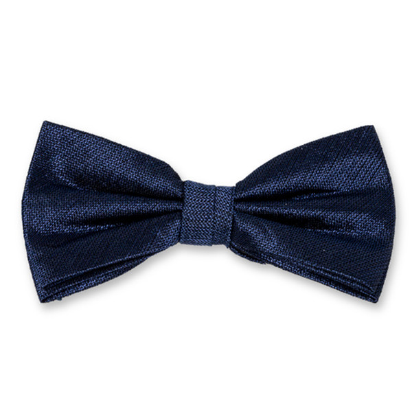 Dunkelblaue Herrenfliege (1)