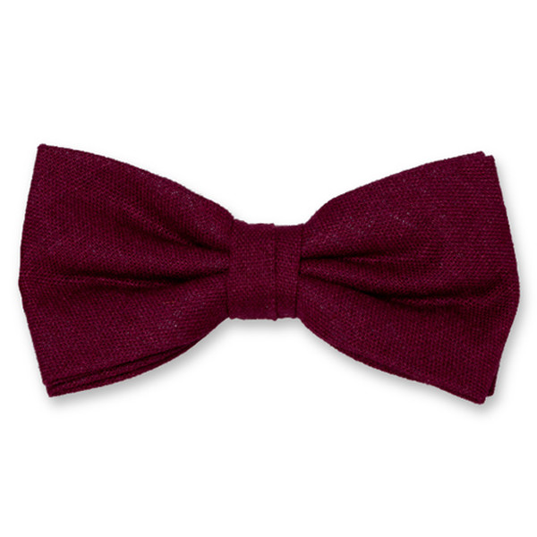 Burgunderrote Herrenfliege (1)