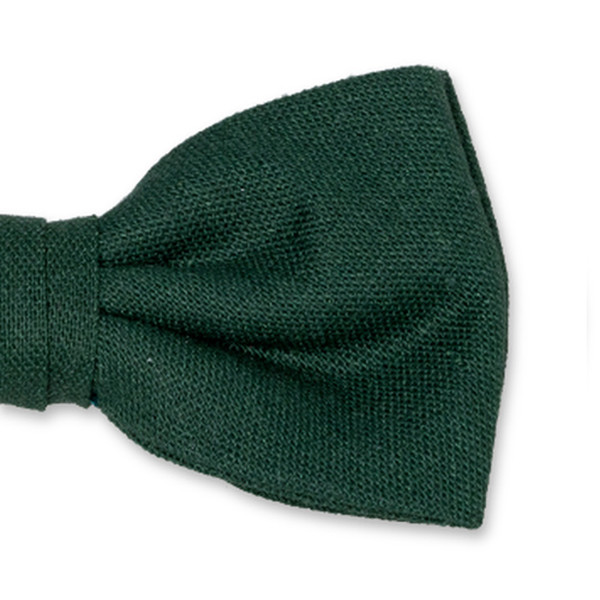 Dunkelgrüne Herrenfliege (2)