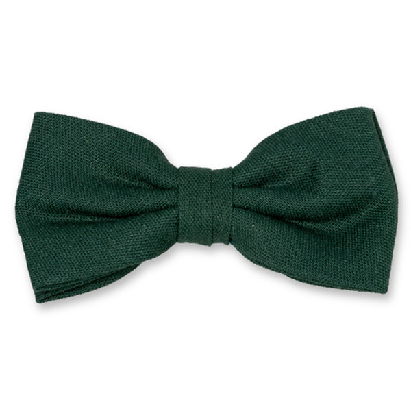 Dunkelgrüne Herrenfliege (1)