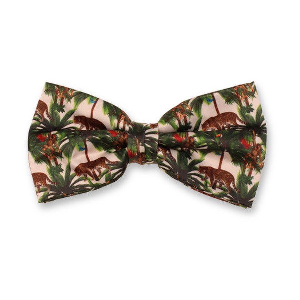 Urwald Herrenfliege (1)