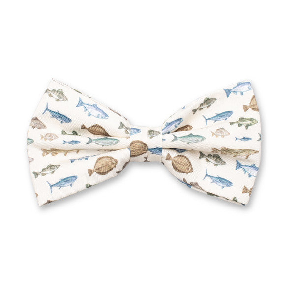 Fliege mit Leopardenmuster (1)