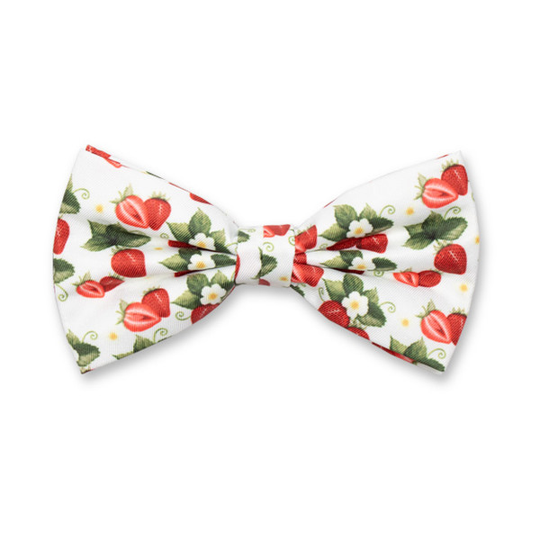 Fliege - Erdbeeren (1)