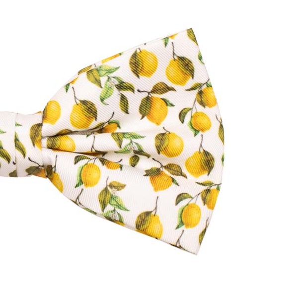 Zitronen Herrenfliege (2)