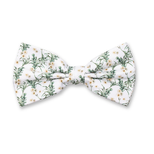 Blumenfliege - Eukalyptus (1)