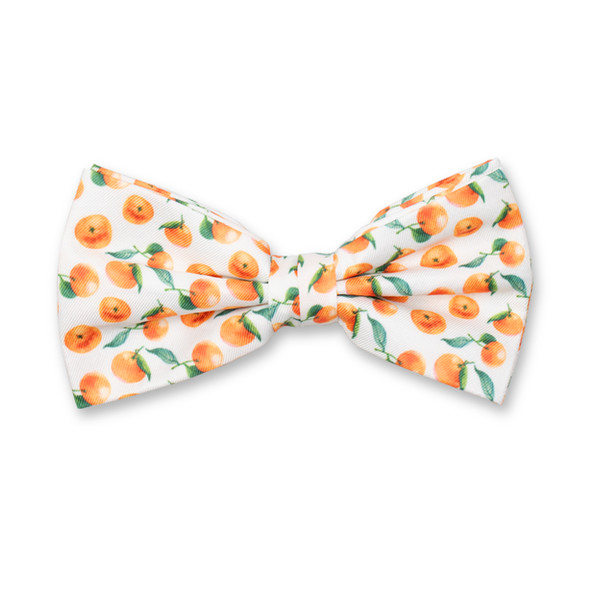 Fliege Mandarin Design (1)