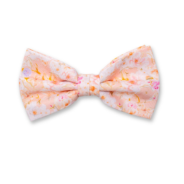 Pfirsichfarbene Fliege - Blumen (1)