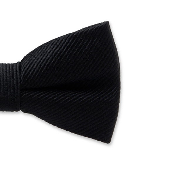 Schwarze Kinderfliege (2)