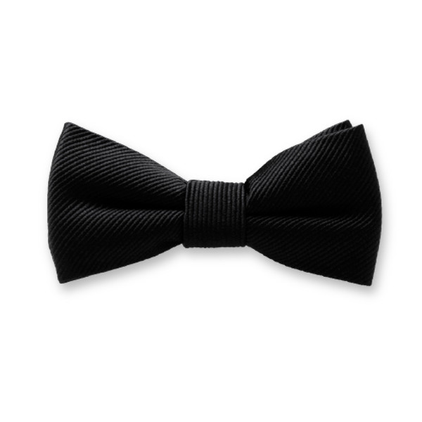 Schwarze Kinderfliege (1)