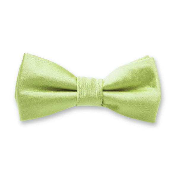 Minzgrüne Kinderfliege (1)