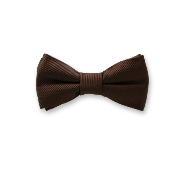 Dunkelbraune Kinderfliege (1)