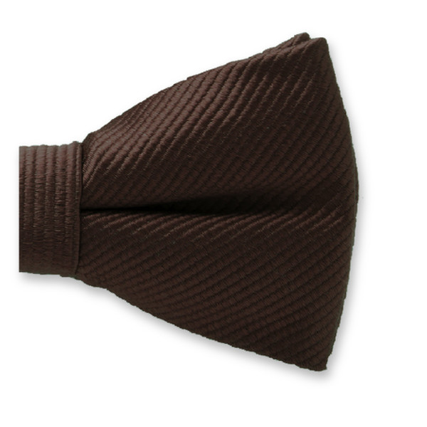 Dunkelbraune Kinderfliege (2)