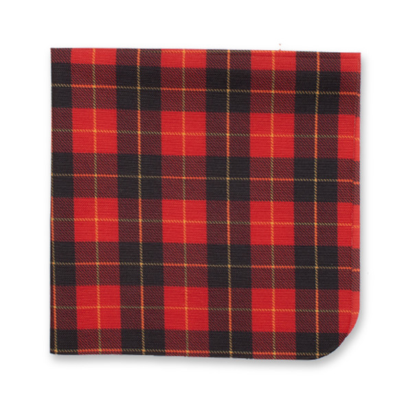 Weihnachts-Einstecktuch - Rot Kariert (1)