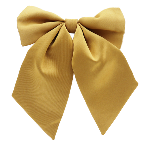 Goldfarbige Damenfliege (1)