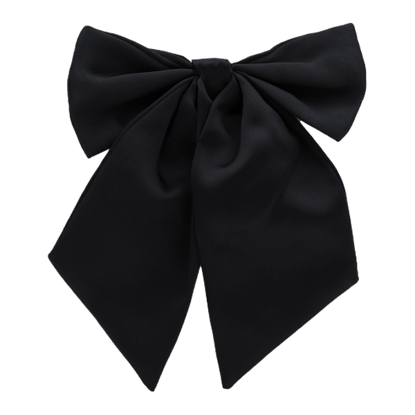 Schwarze Damenfliege (1)