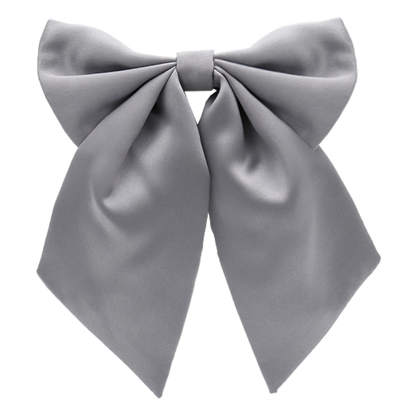 Graue Damenfliege (1)