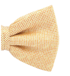 Gelbe Fliege Two-tone - Thumbnail 2