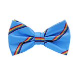 Regenbogen-Fliege - Thumbnail 1