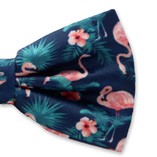 Flamingo Herrenfliege - Thumbnail 2