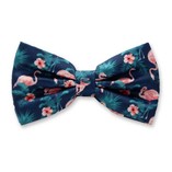 Flamingo Herrenfliege - Thumbnail 1