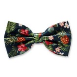 Ananas Herrenfliege - Thumbnail 1