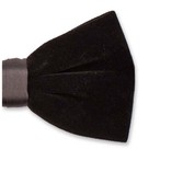 Samtfliege schwarz - Thumbnail 2