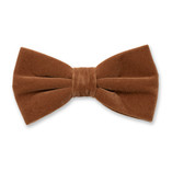 Samtfliege Cognac - Thumbnail 1