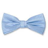 Hellblaue Herrenfliege - Thumbnail 1