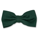 Dunkelgrüne Herrenfliege - Thumbnail 1