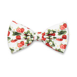 Fliege - Erdbeeren - Thumbnail 1