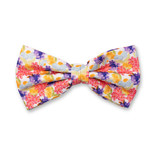 Mehrfarbige Fliege - Blumen - Thumbnail 1