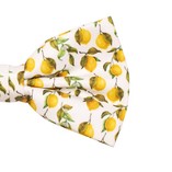 Zitronen Herrenfliege - Thumbnail 2