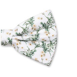 Blumenfliege - Eukalyptus - Thumbnail 2