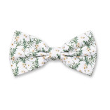 Blumenfliege - Eukalyptus - Thumbnail 1