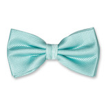 Herrenfliege aqua - Thumbnail 1