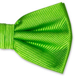 Herrenfliege apfelgrün - Thumbnail 2